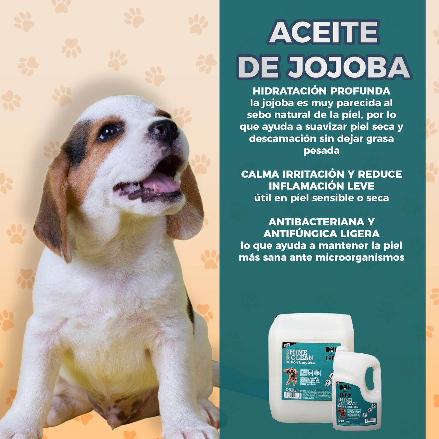 Shampoo para Perro Shine & Clean, Brillo y Limpieza