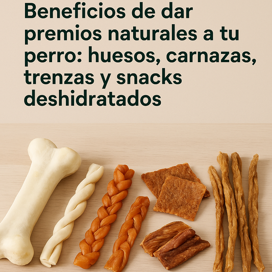 Beneficios de dar premios naturales a tu perro: huesos, carnazas, trenzas y snacks deshidratados