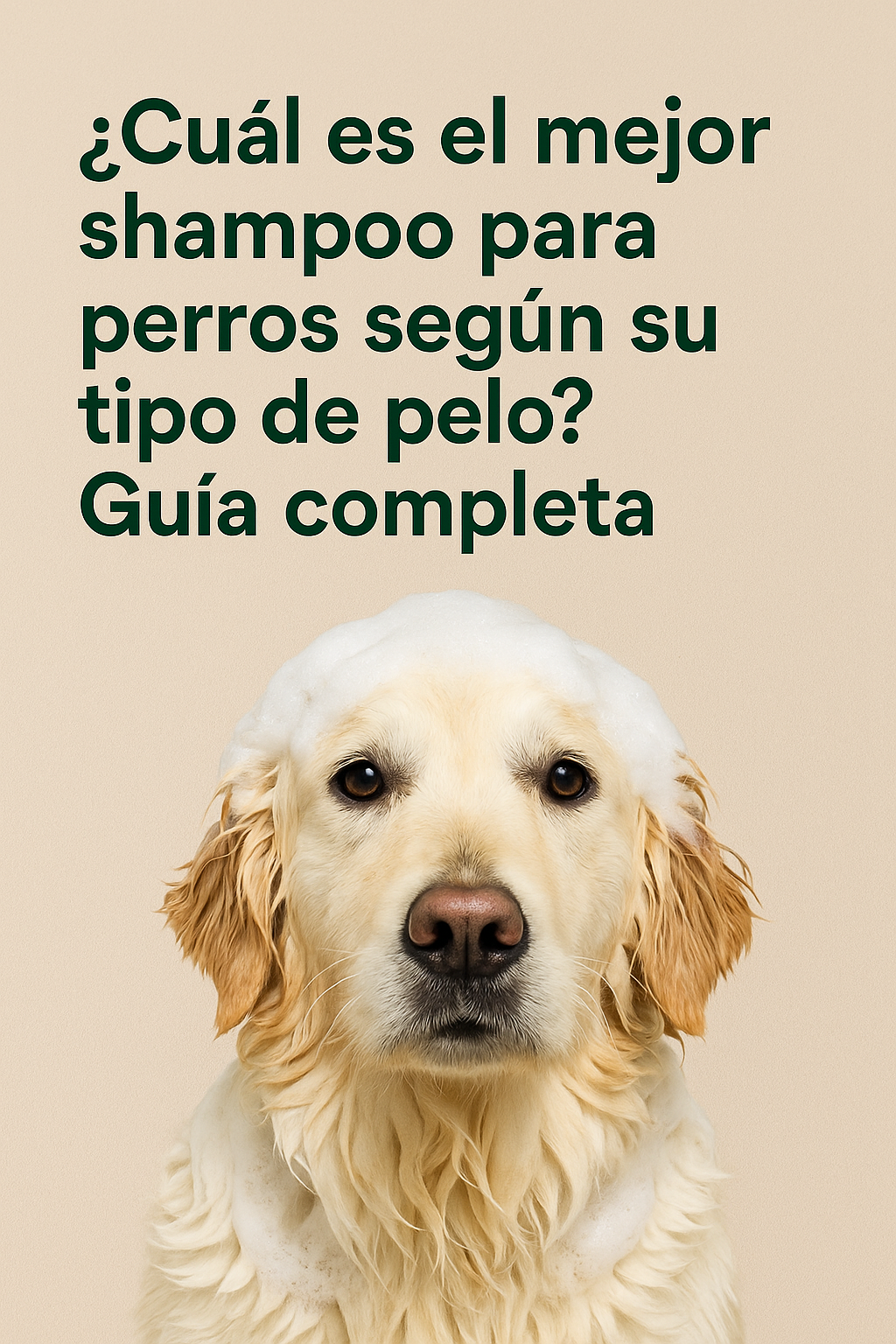 ¿Cuál es el mejor shampoo para perros según su tipo de pelo? Guía completa