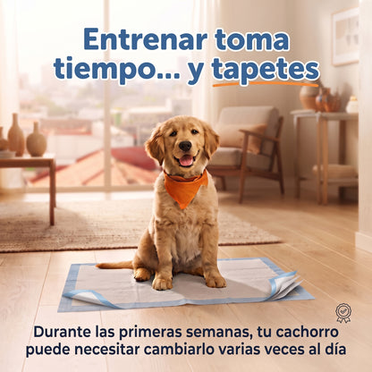 Pack Entrenamiento Completo