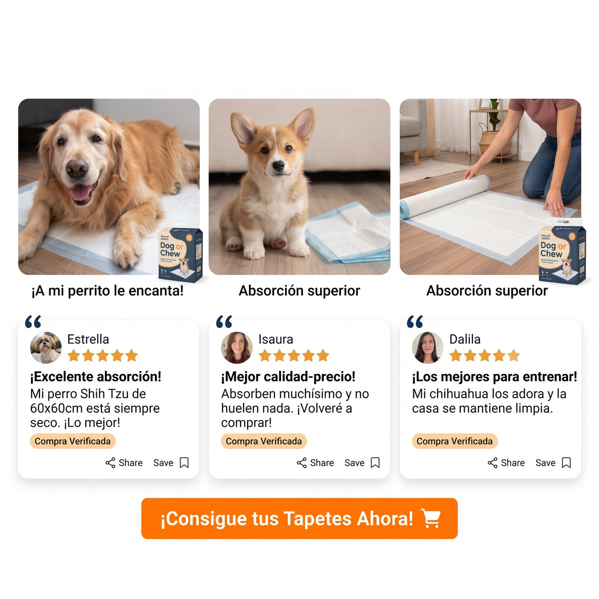 Pack Entrenamiento Completo