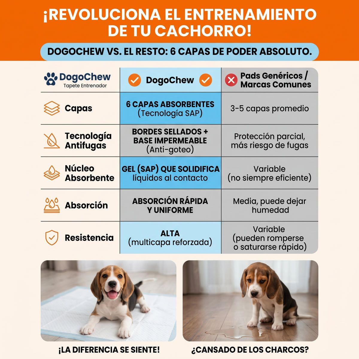 Pack Entrenamiento Completo