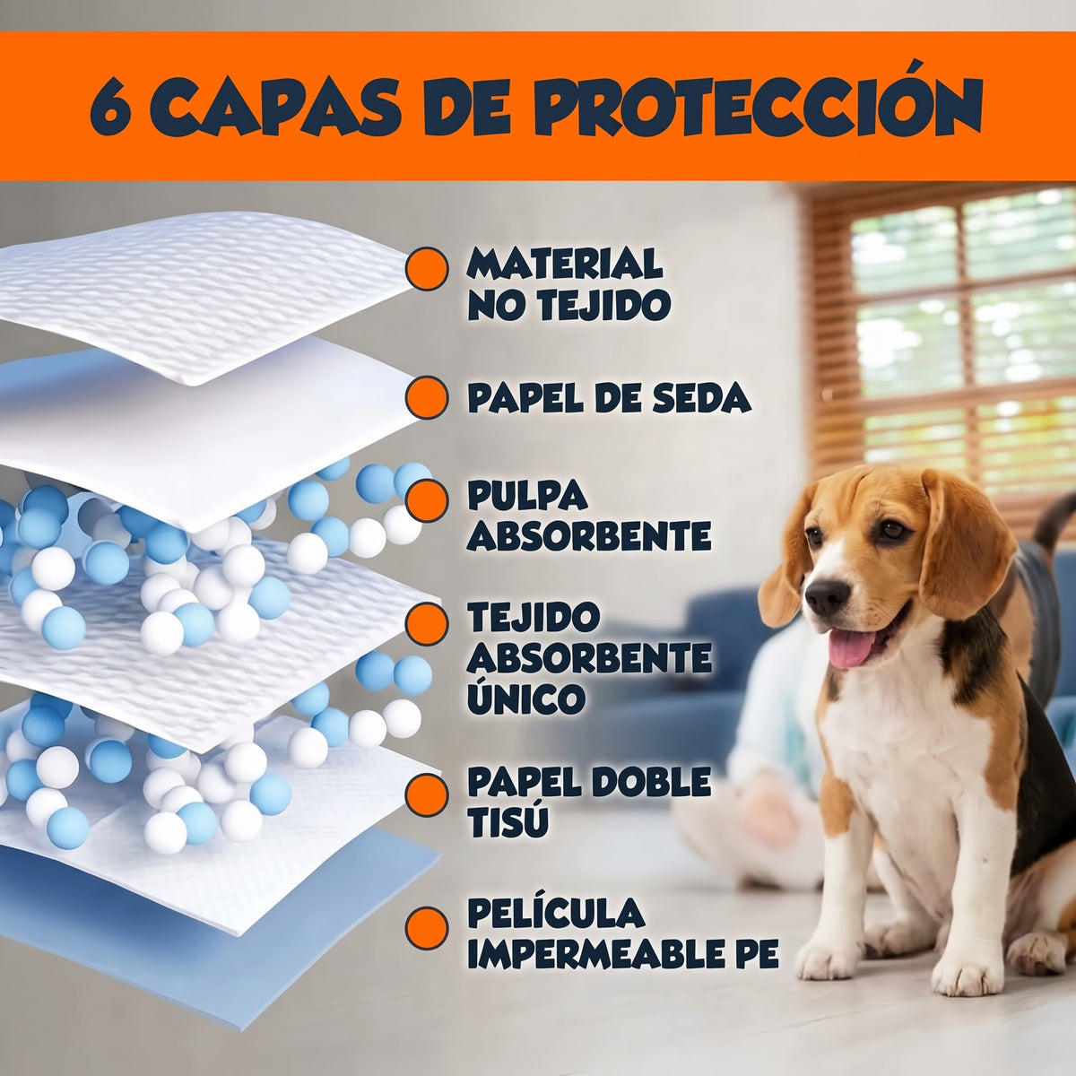 Pack Entrenamiento Completo