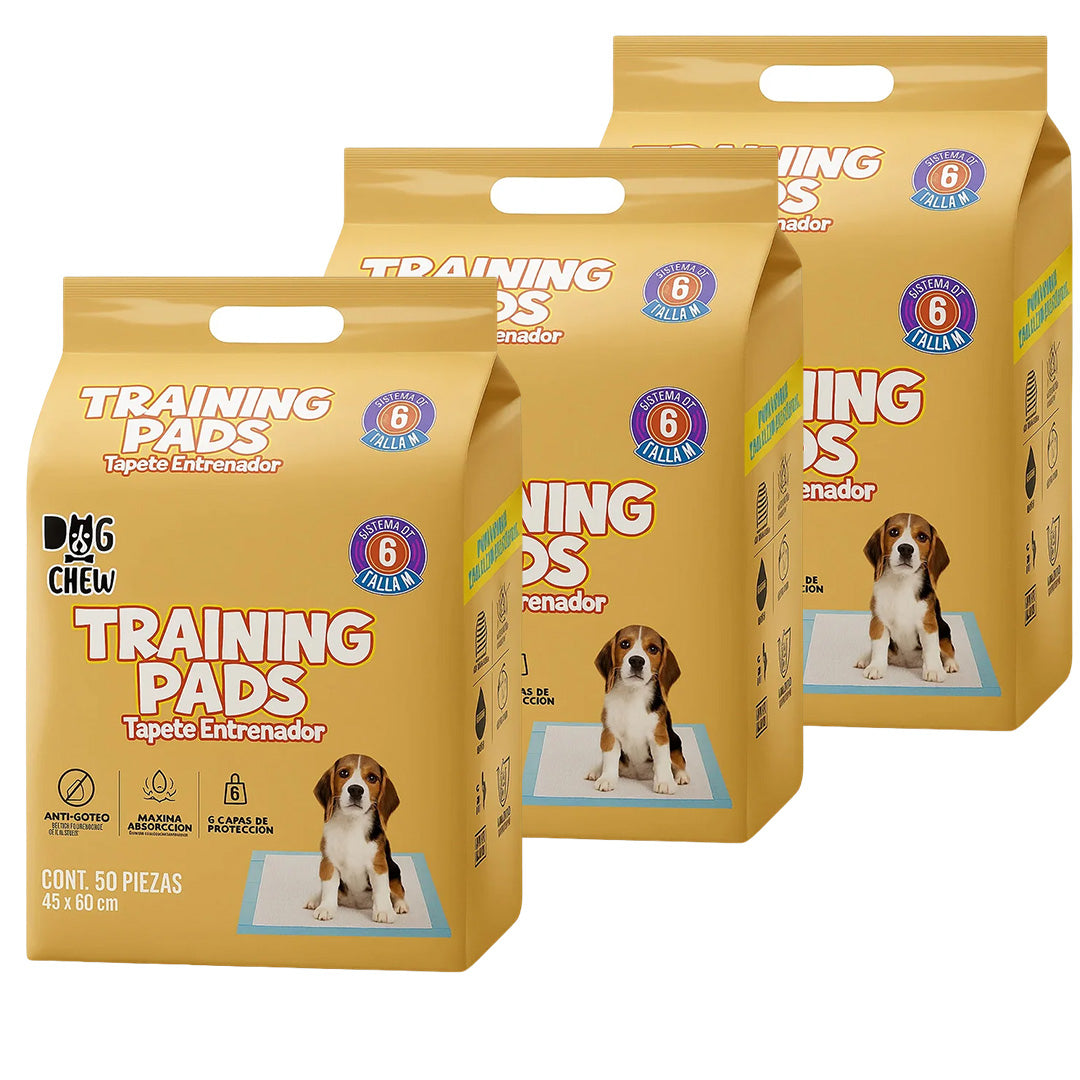 Pack Entrenamiento Completo