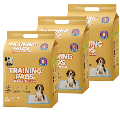 Pack Entrenamiento Completo