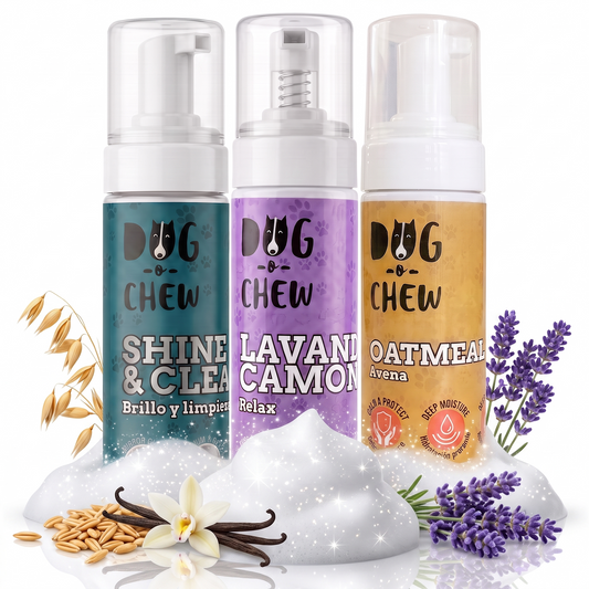 Shampoo en Seco Mixto (3 pack)
