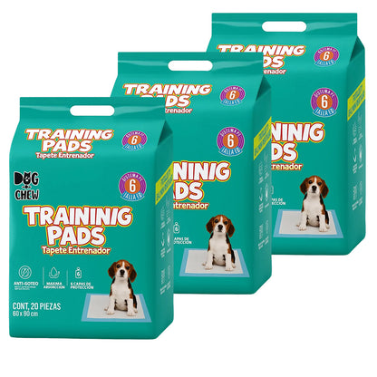 Pack Entrenamiento Completo