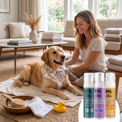 Shampoo en Seco Brillo y Fortaleza (3 Pack)