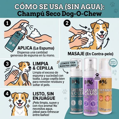 Shampoo en Seco Brillo y Fortaleza (3 Pack)