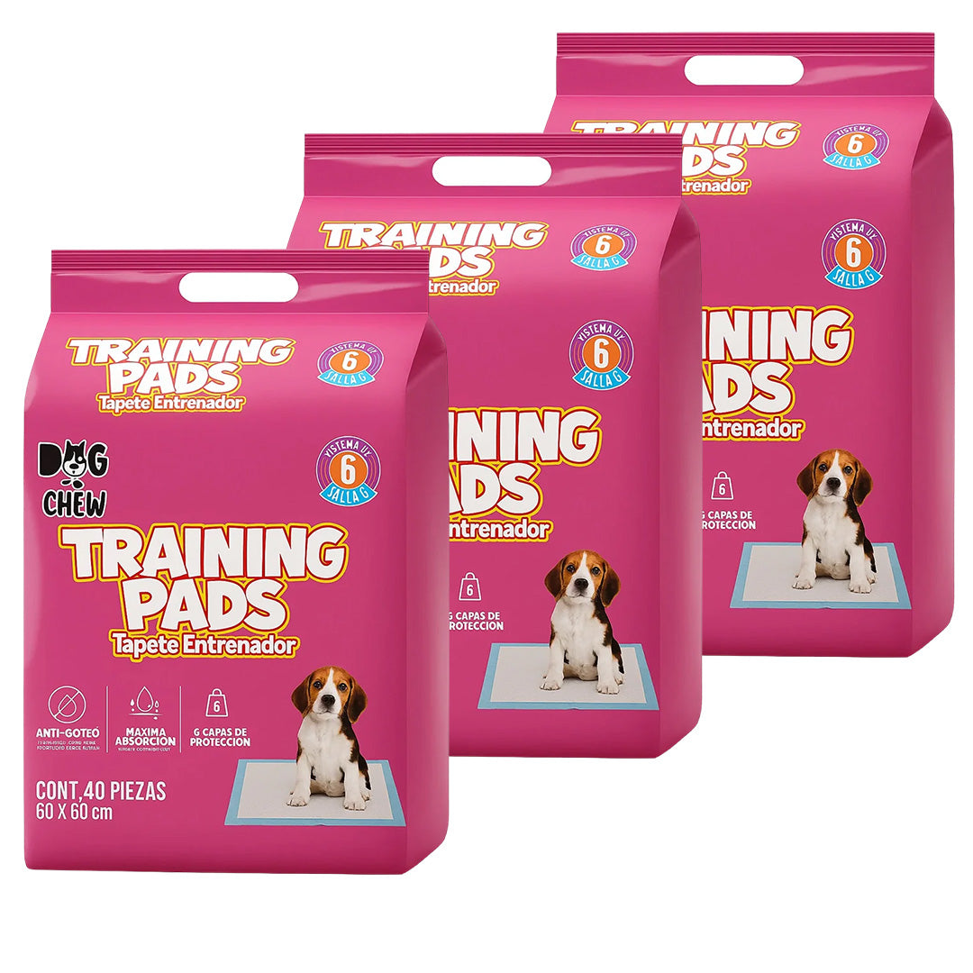 Pack Entrenamiento Completo
