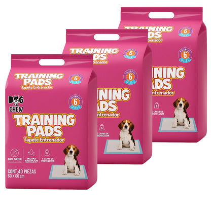 Pack Entrenamiento Completo