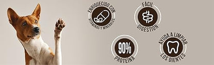 DOG-O-CHEW | Premios para Perro 100% Naturales | Dog Treats | Carnazas para Perro | Hueso de Carnaza | 2 Huesos por Paquete | Sabor Res | 7" a 8" (18 a 20 cm)