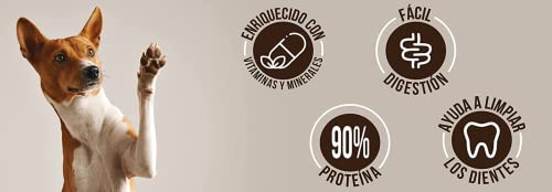 DOG-O-CHEW | Premios para Perro | Dog Treats | Premios Perro | Carnazas para Perro | Hueso de Carnaza | 2 Huesos x paq | Premios para Perro 100% Naturales| Sabor Tocino| 7" a 8" (18 a 20 cm)