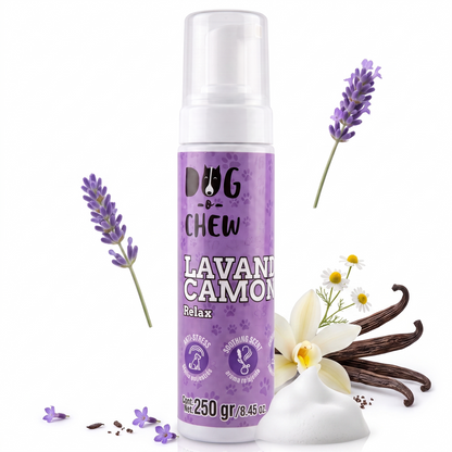 Shampoo en Seco Avena  (3 Pack)