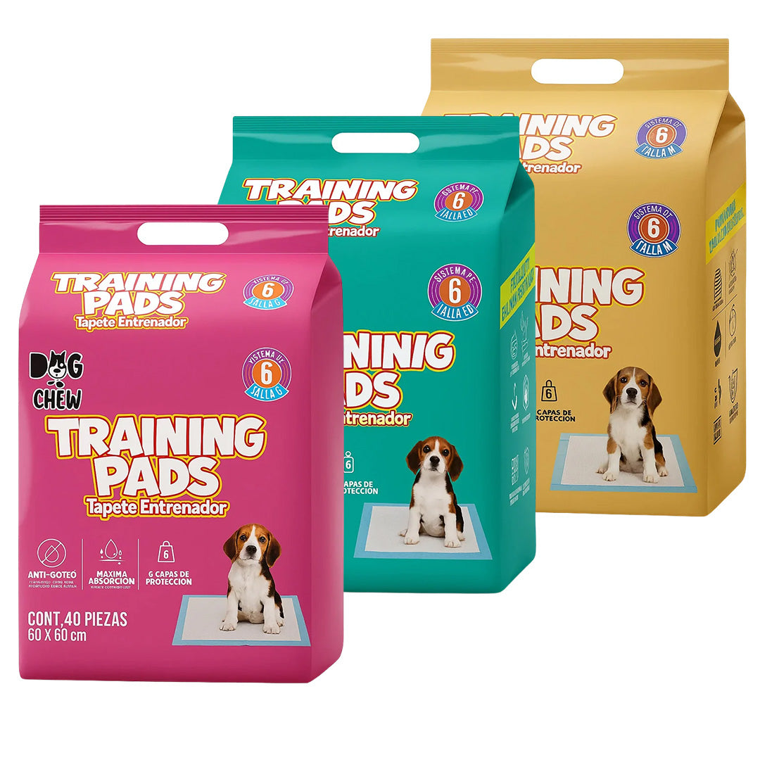 Pack Entrenamiento Completo