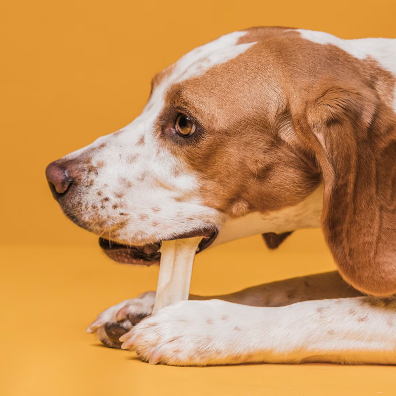 Kit Sticks Res + Sticks Naturales. 100 Pz c/u.