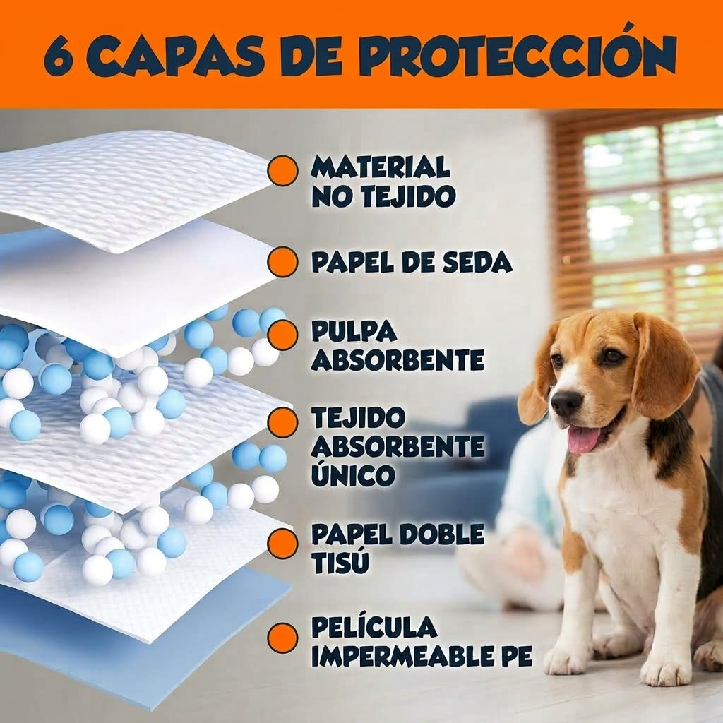 Pack Entrenamiento Completo (XG)