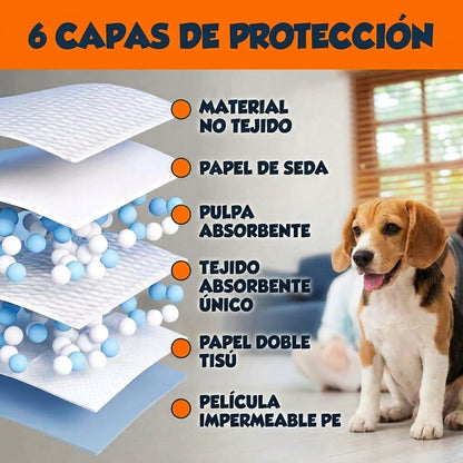 Pack Entrenamiento Completo (XG)
