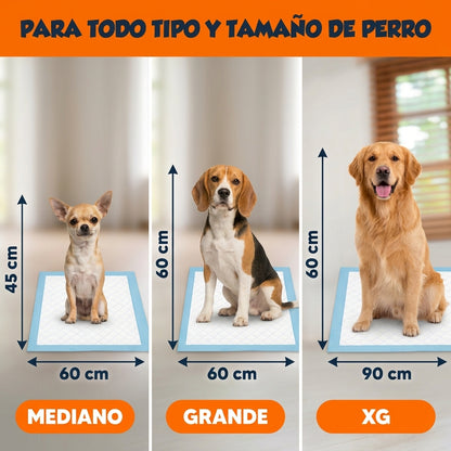 Pack Entrenamiento Completo (XG)