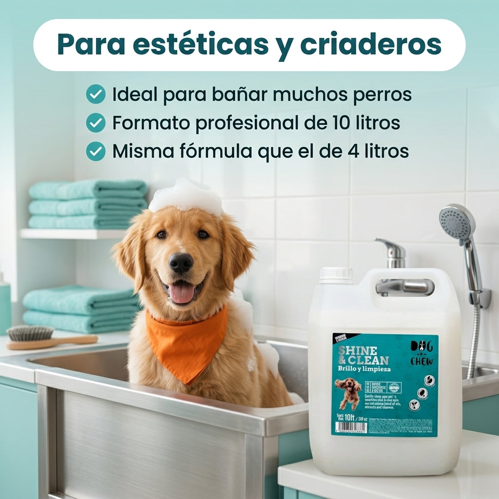 Shampoo para Perro Shine & Clean, Brillo y Limpieza, 10 litros