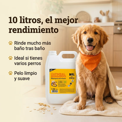 Shampoo para Perro. Versión Avena. 10 Litros.