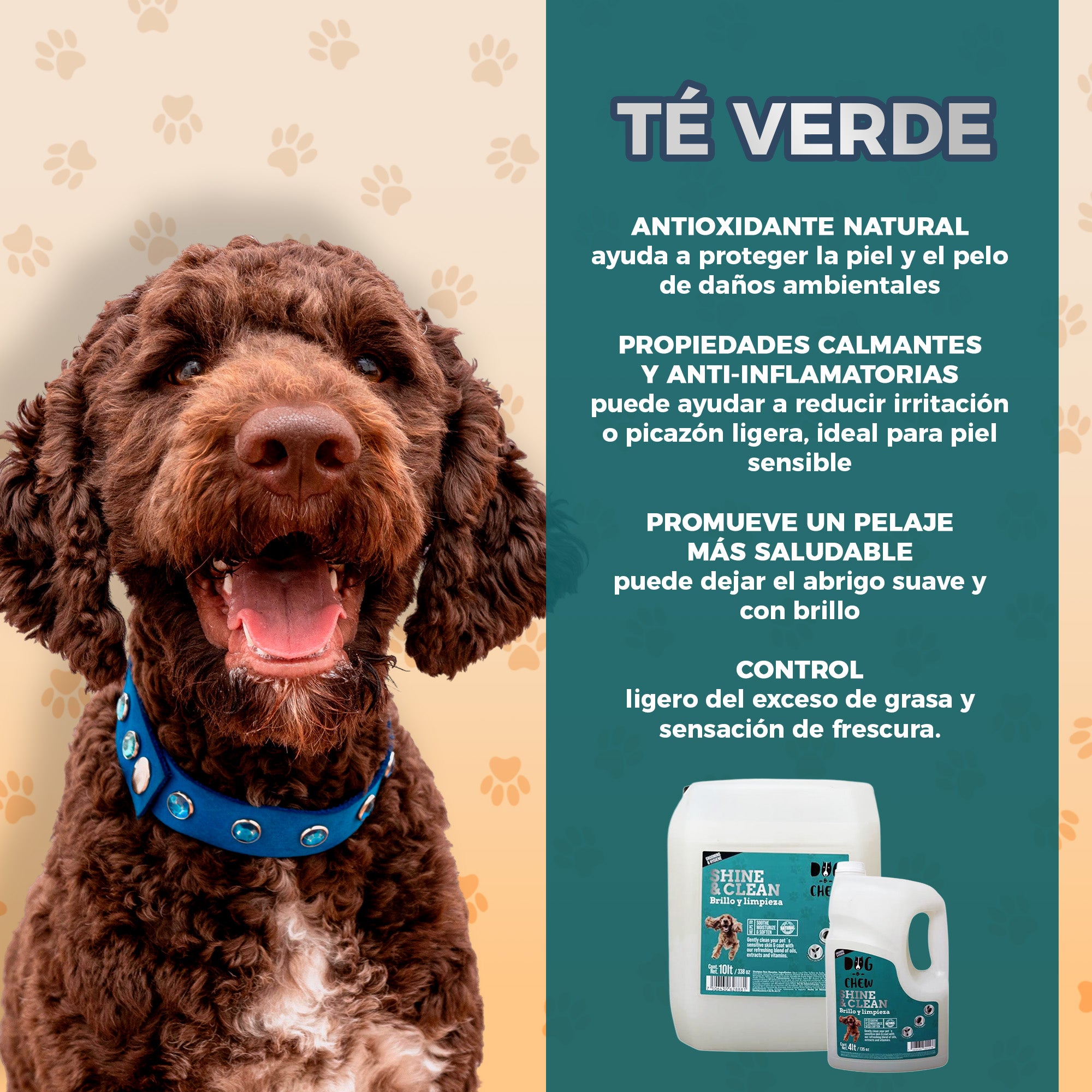 Shampoo para Perro Shine & Clean, Brillo y Limpieza, 10 litros