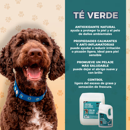 Shampoo para Perro Shine & Clean, Brillo y Limpieza