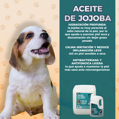 Shampoo para Perro Shine & Clean, Brillo y Limpieza