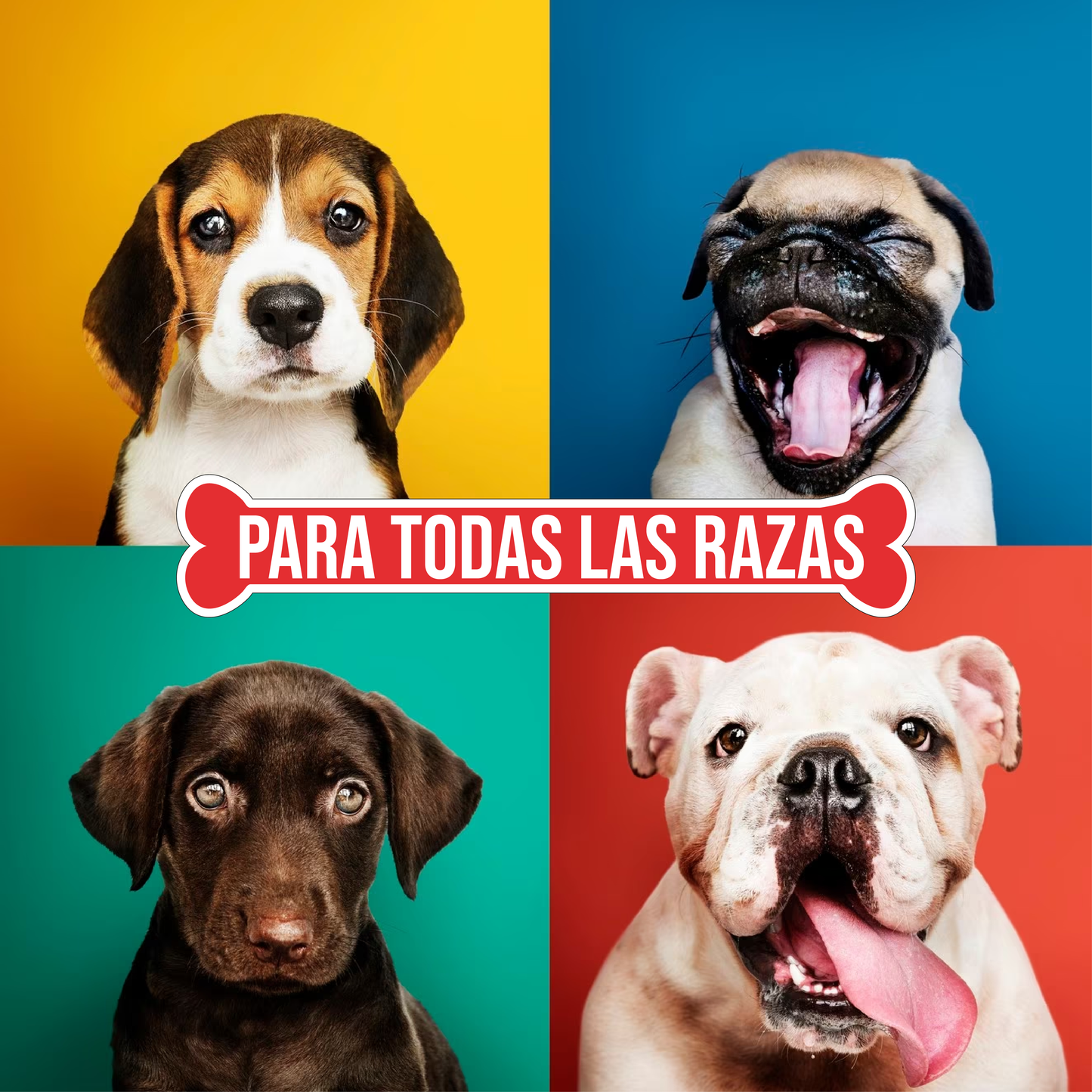 DOG-O-CHEW | 2 pack Sticks (Palitos) de Res | Sabor Res y Cacahuate|