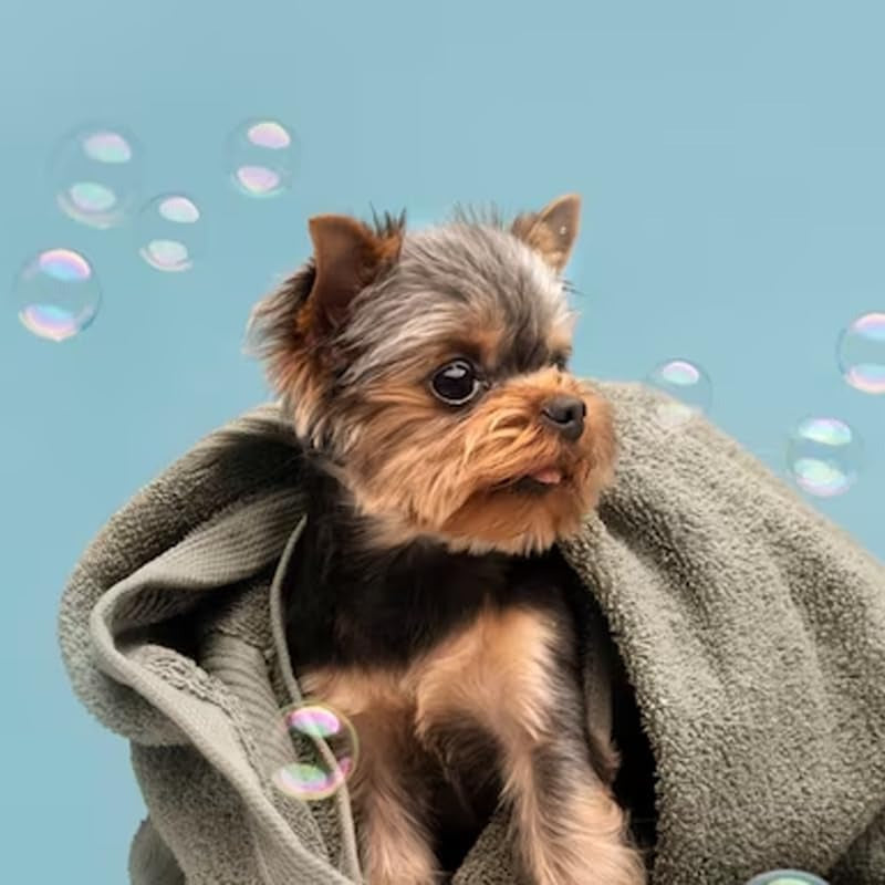 DOG-O-CHEW, Shampoo para Perro | Shampoo para Perro| Humectante |500 ml. | Estetica | Pets | Calm | Lavanda y Camomila