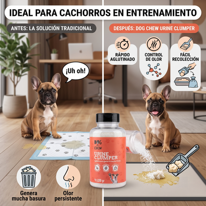 Aglutinador de Orina (3 Pack)